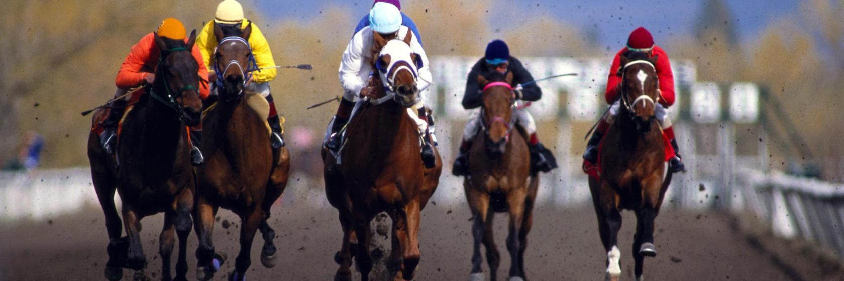 Hippodrome de Cabourg